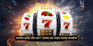 Những điểm cần chú ý trong quy định chung Sunwin