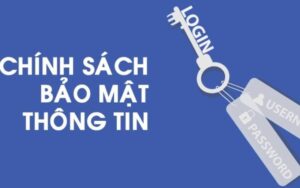 Sun-win cam kết chắc chắn bảo mật thông tin và hoạt động của người dùng